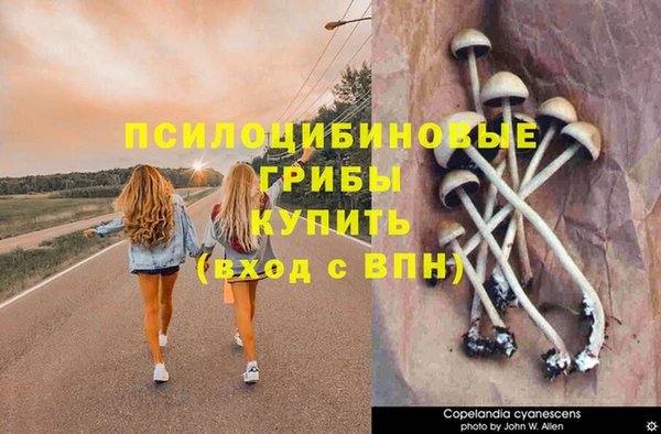 молекула духа Балахна