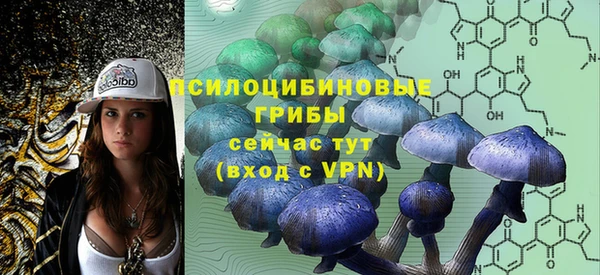 молекула духа Балахна