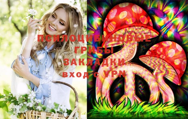 бутират Баксан